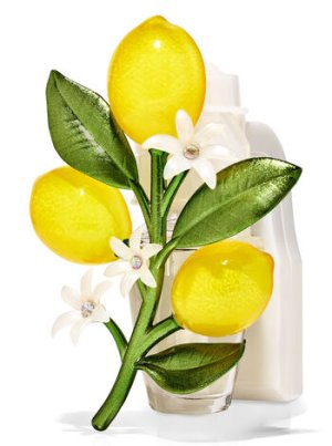 画像2: 【Bath&BodyWorks】香りの強さが調節できる★Wallflowers本体 Scent Control：レモンオンブランチナイトライト