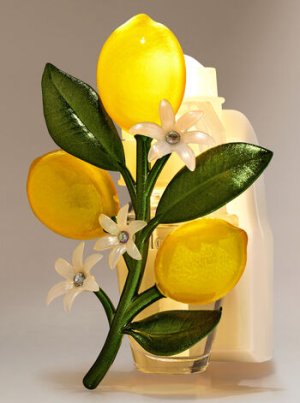 画像1: 【Bath&BodyWorks】香りの強さが調節できる★Wallflowers本体 Scent Control：レモンオンブランチナイトライト
