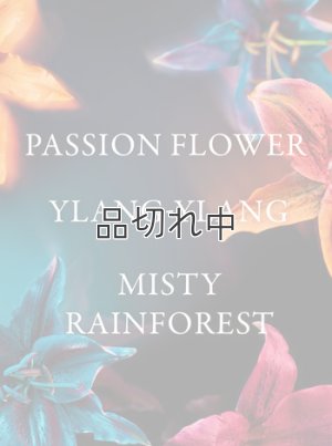 画像2: 【Bath&BodyWorks】カーフレグランス詰替リフィル：トロピデリック