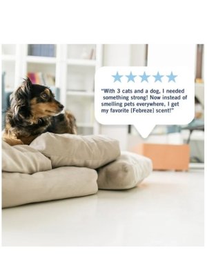 画像4: 【USファブリーズ】お知らせランプ付き★プラグインオイル本体+リフィルセット：キッチンの臭いにおすすめ！フレッシュレモン