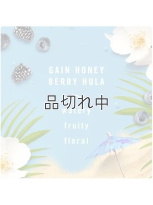 画像2: 【USファブリーズ】車用芳香剤(2個入り)：ハニーベリーフラ