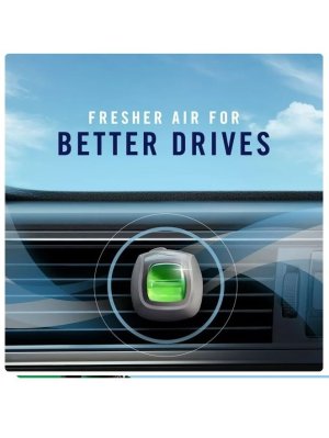 画像4: 【USファブリーズ】車用芳香剤(2個入り)：GAIN ゲインアイランドフレッシュ