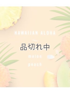 画像4: 【USファブリーズ】車用芳香剤(2個入り)：ハワイアンアロハ