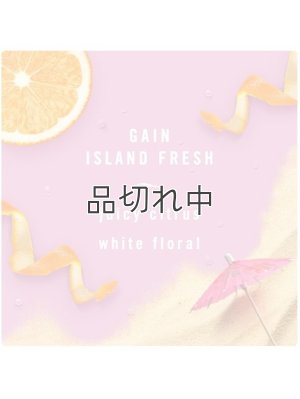 画像2: 【USファブリーズ】車用芳香剤(2個入り)：GAIN ゲインアイランドフレッシュ