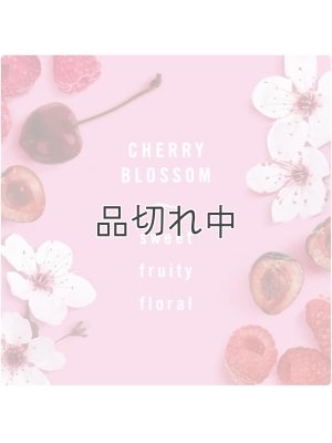 画像2: 【USファブリーズ】車用芳香剤(2個入り)：チェリーブロッサム