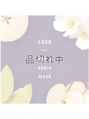 画像3: 【USファブリーズ】車用芳香剤(2個入り)：LUSH(ラッシュ)