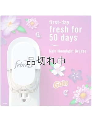 画像3: 【USファブリーズ】プラグインオイルリフィル(2セット入)：Gain ゲインムーンライトブリーズ