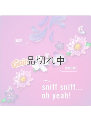 画像4: 【USファブリーズ】プラグインオイルリフィル(2セット入)：Gain ゲインムーンライトブリーズ