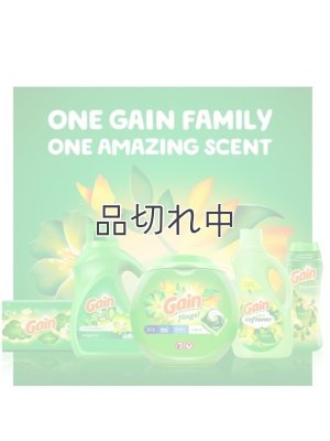 画像8: 【Gain/ゲイン】セントブースター(加香剤)5.7oz：ゲインオリジナル