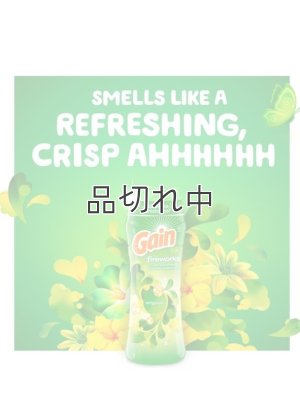 画像5: 【Gain/ゲイン】セントブースター(加香剤)5.7oz：ゲインオリジナル