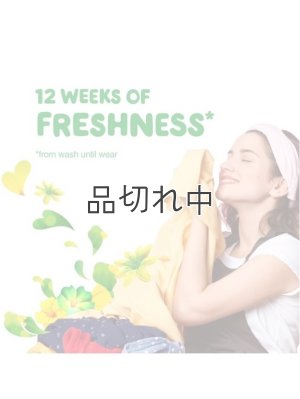 画像4: 【Gain/ゲイン】セントブースター(加香剤)5.7oz：ゲインオリジナル