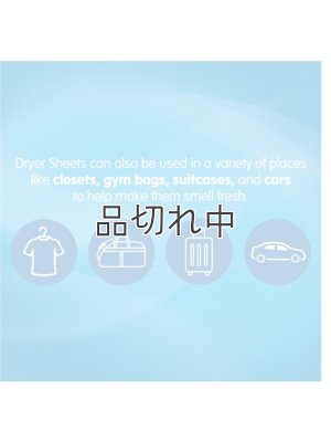 画像4: 【Snuggle/スナッグル】ドライヤーシート(120枚入り)：ブルースパークル