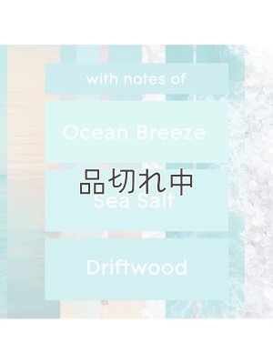 画像4: 【glade】プラグインオイルリフィル(5個入)：スカイ＆シーソルト