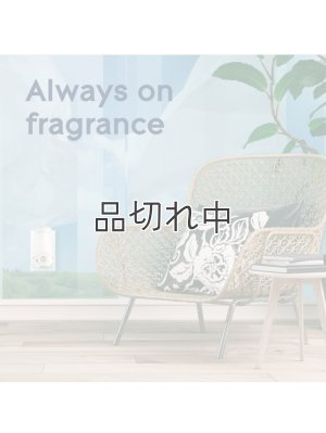 画像6: 【glade】プラグインオイルリフィル(5個入)：スカイ＆シーソルト