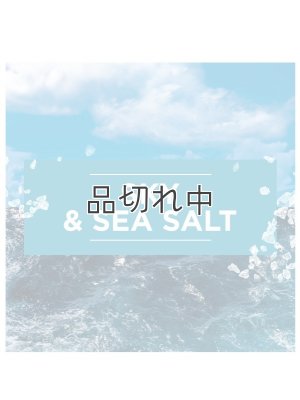 画像3: 【glade】プラグインオイルリフィル(5個入)：スカイ＆シーソルト