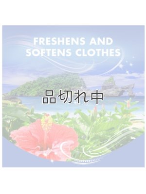 画像3: 【Arm&Hammer/アーム＆ハンマー】ドライヤーシート(20枚入り)：トロピカルパラダイス