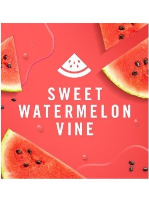 画像3: 【USファブリーズ】車用芳香剤(2個入り)：スイートウォーターメロンバイン