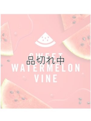 画像3: 【USファブリーズ】車用芳香剤(2個入り)：スイートウォーターメロンバイン