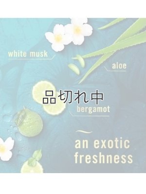 画像2: 【USファブリーズ】車用芳香剤(2個入り)：レインフォレスト