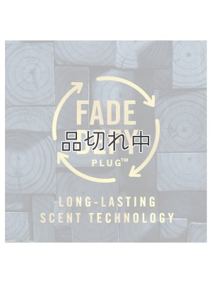 画像3: 【USファブリーズ】プラグインオイルリフィル(2セット入)：レインフォレスト