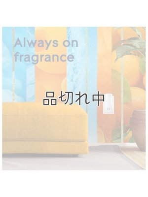 画像8: 【glade】プラグインオイル本体+リフィルセット：コースタルサンシャインシトラス