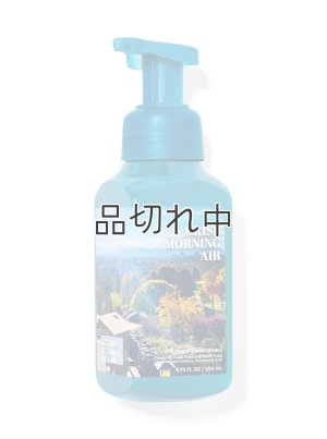 画像1: 【Bath&BodyWorks】フォーミングハンドソープ：クリスプモーニングエアー