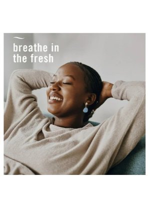 画像5: 【USファブリーズ】プラグインオイルリフィル(2セット入)：パンプキンロール