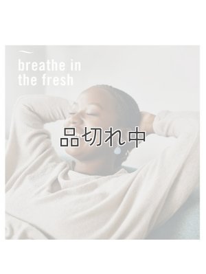 画像5: 【USファブリーズ】プラグインオイルリフィル(2セット入)：セリーンスノーフォール
