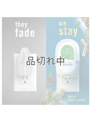 画像4: 【USファブリーズ】プラグインオイルリフィル(2セット入)：セリーンスノーフォール