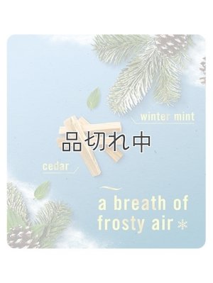 画像2: 【USファブリーズ】プラグインオイルリフィル(2セット入)：セリーンスノーフォール