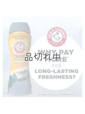 画像9: 【Arm&Hammer/アーム＆ハンマー】セントブースター(加香剤)24oz：クールウッズ