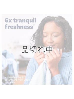 画像5: 【Downy/ダウニー】セントブースター(加香剤)13.4oz：Balance クリスプレイン＆ブルーユーカリ