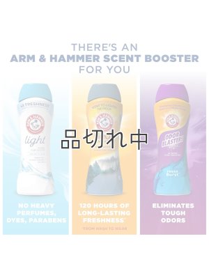 画像12: 【Arm&Hammer/アーム＆ハンマー】セントブースター(加香剤)24oz：クールウッズ