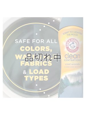 画像3: 【Arm&Hammer/アーム＆ハンマー】セントブースター(加香剤)24oz：クールウッズ