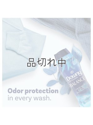 画像6: 【Downy/ダウニー】セントブースター(加香剤)13.4oz：Balance クリスプレイン＆ブルーユーカリ