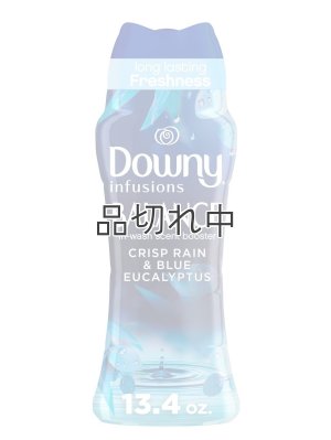 画像1: 【Downy/ダウニー】セントブースター(加香剤)13.4oz：Balance クリスプレイン＆ブルーユーカリ