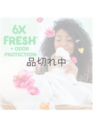 画像3: 【Gain/ゲイン】セントブースター(加香剤)12.2oz：ゲイン HAPPY ハイビスカスフラ