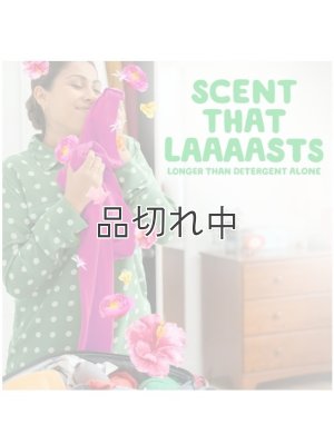 画像4: 【Gain/ゲイン】セントブースター(加香剤)12.2oz：ゲイン HAPPY ハイビスカスフラ