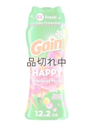画像1: 【Gain/ゲイン】セントブースター(加香剤)12.2oz：ゲイン HAPPY ハイビスカスフラ