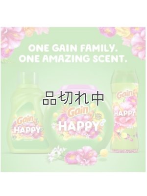 画像6: 【Gain/ゲイン】セントブースター(加香剤)12.2oz：ゲイン HAPPY ハイビスカスフラ