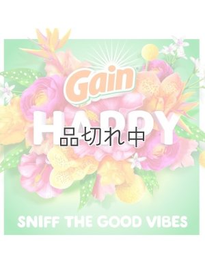 画像2: 【Gain/ゲイン】セントブースター(加香剤)12.2oz：ゲイン HAPPY ハイビスカスフラ