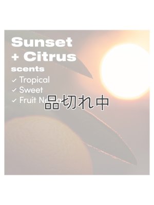 画像5: 【Downy/ダウニー】セントブースター(加香剤)10.7oz：Unstopables Fusions 2 in 1 サンセットシトラス