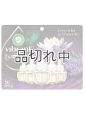 【エアーウィック】プラグインオイルリフィル(5個入)：ラベンダー＆ウォーターリリー