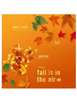 画像2: 【USファブリーズ】プラグインオイルリフィル(2セット入)：クリスプフォールブリーズ