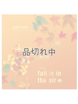 画像2: 【USファブリーズ】プラグインオイルリフィル(2セット入)：クリスプフォールブリーズ