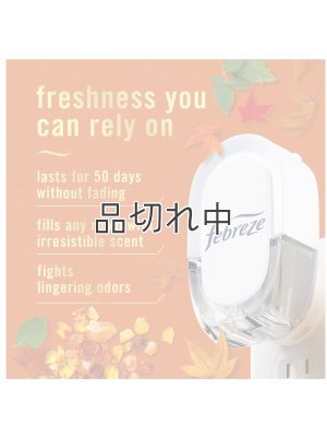 画像3: 【USファブリーズ】プラグインオイルリフィル(2セット入)：クリスプフォールブリーズ