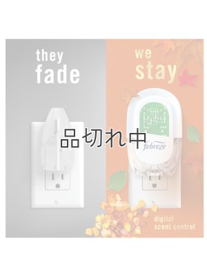 画像5: 【USファブリーズ】プラグインオイルリフィル(2セット入)：クリスプフォールブリーズ