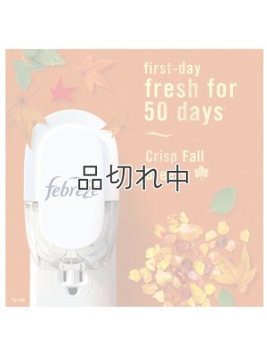 画像4: 【USファブリーズ】プラグインオイルリフィル(2セット入)：クリスプフォールブリーズ