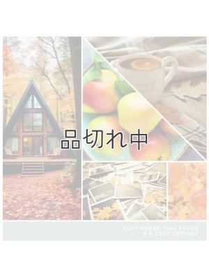 画像3: 【YANKEE CANDLE/ヤンキーキャンドル】1-wickガラスキャンドル（1.3oz）：ウッドランドウィークエンドメモリーズ