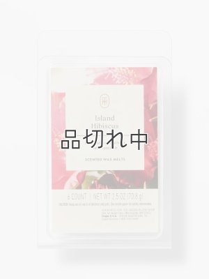 画像1: 【Threshold】ワックスメルト6ct(2.5oz)：タンジェリンジンジャー